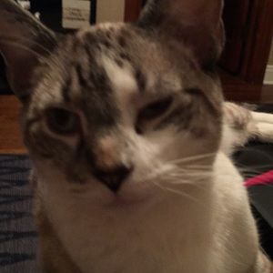 Meet your Posher, Kendra